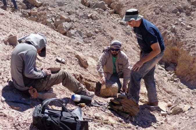  (crédito: Universidad de Chile / AFP)