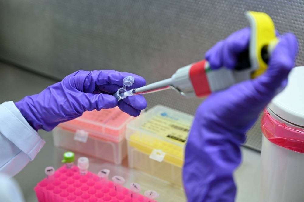 Eurodeputados pedem à UE fim do uso de animais em pesquisas