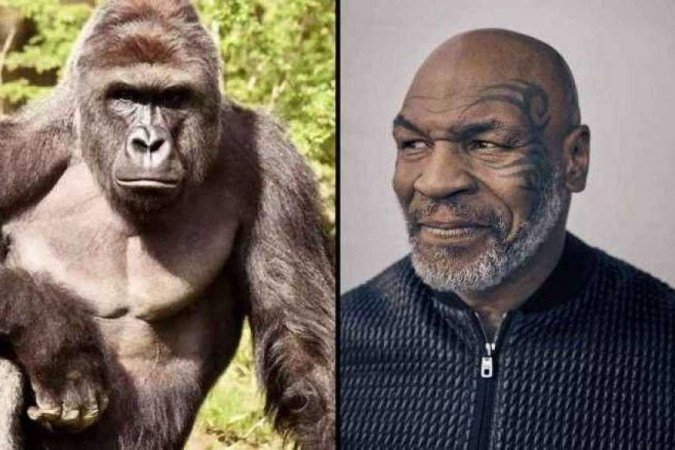  (crédito: Divulgação/UAI)