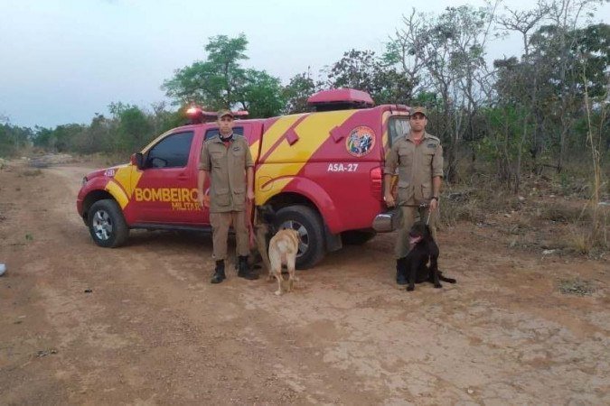 Cães da corporação faziam treinamento na área, quando encontraram o cadáver -  (crédito: CBM-GO/Divulgação)