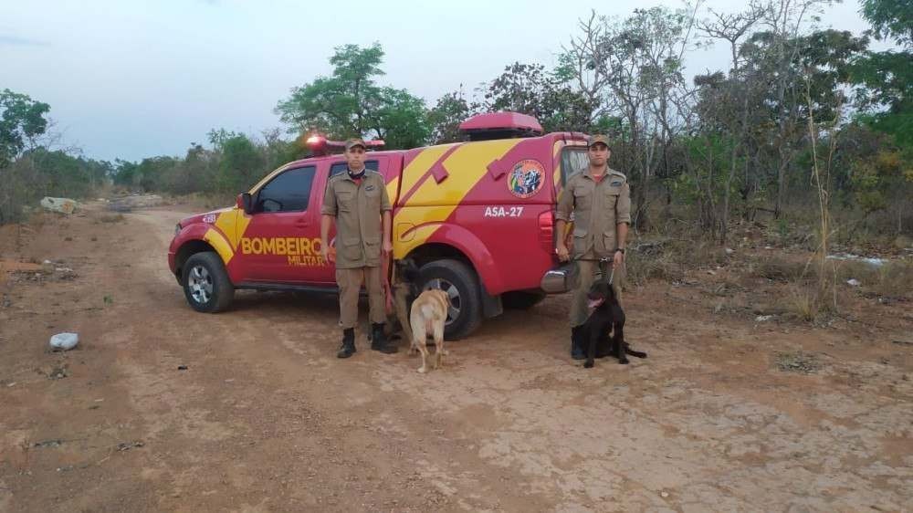 Ossada humana é encontrada em matagal de Luziânia por cães dos bombeiros