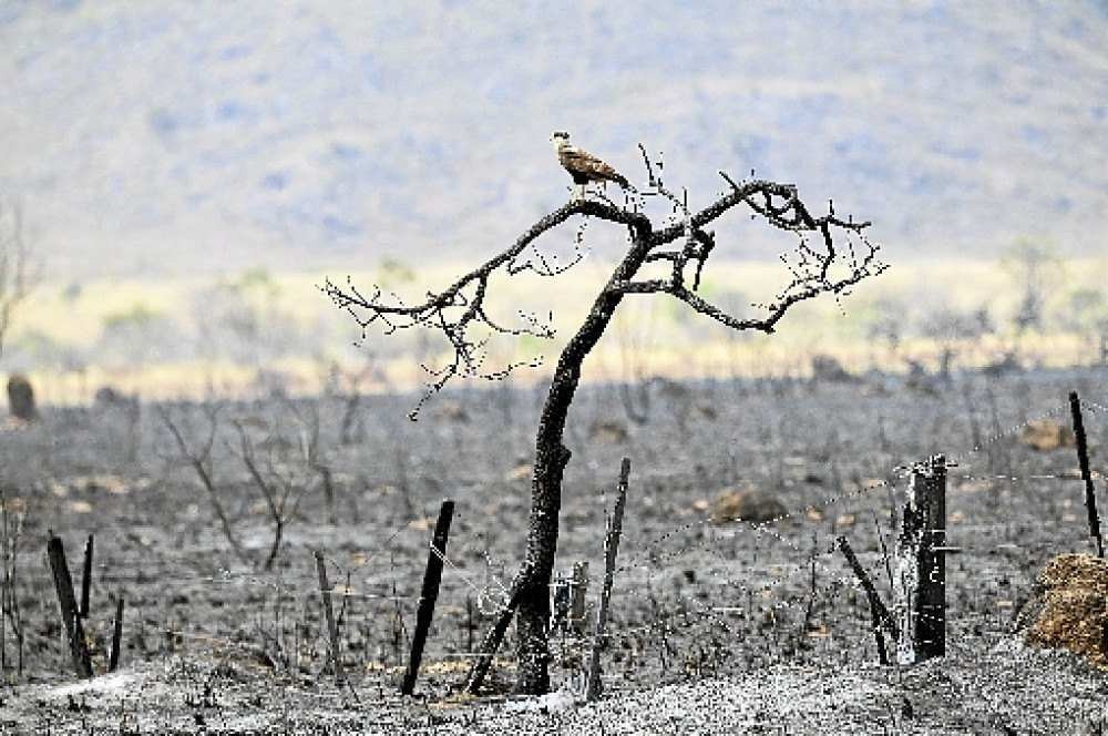 Chapada dos Veadeiros: região é devastada por incêndios há mais de 16 dias