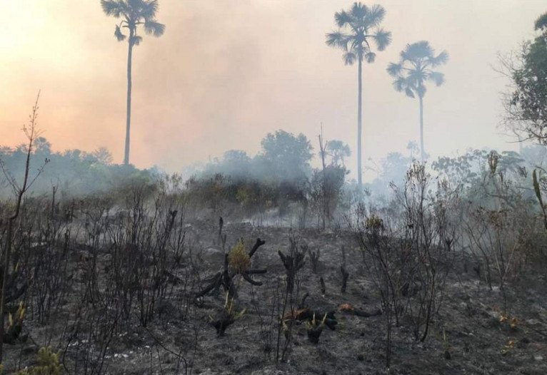 Equipe CBMDF combate incêndio do Parque Nacional da Chapada dos Veadeiros