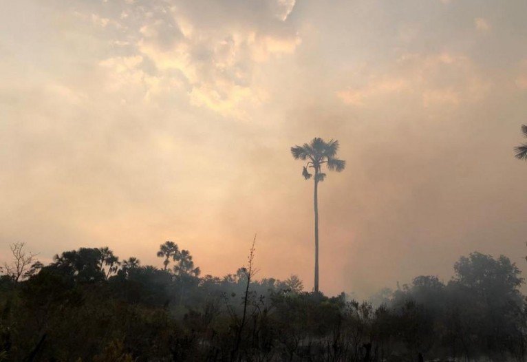 Equipe CBMDF combate incêndio do Parque Nacional da Chapada dos Veadeiros