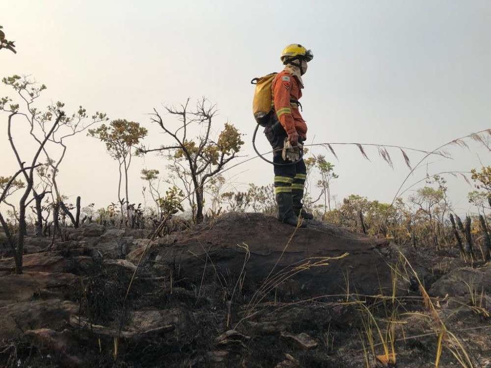 Com o período de frio e seca, aumenta o risco de queimadas no DF