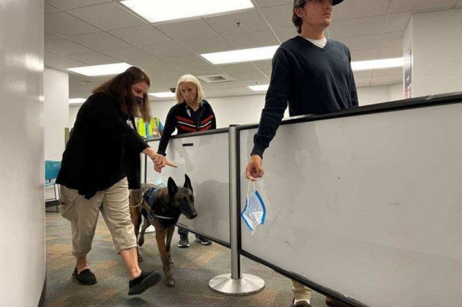 Além da detecção de drogas e armas, funcionários agora passam também pela detecção de coronavírus