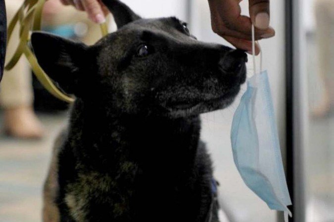  (crédito: Miami-Dave Aviation )