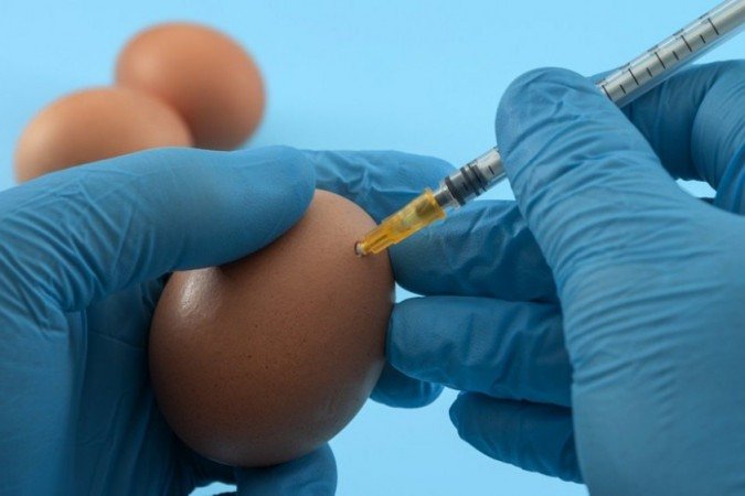 Cientistas dizem ter descoberto a 'fórmula matemática da forma dos ovos' -  (crédito: BBC)