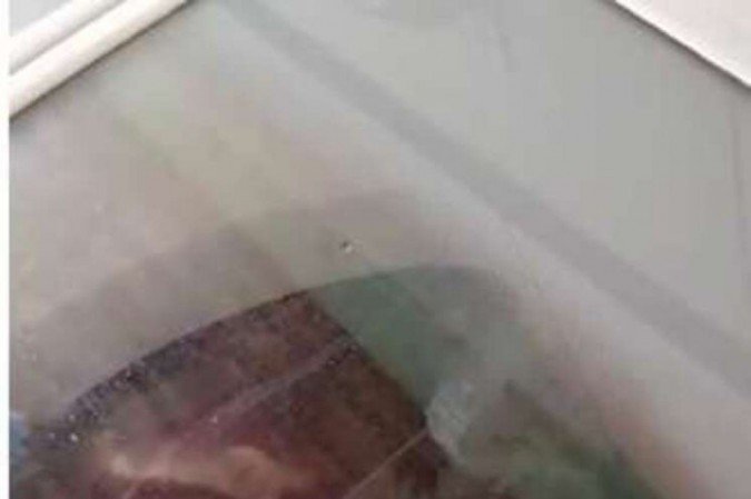  (crédito: Arquivo pessoal)