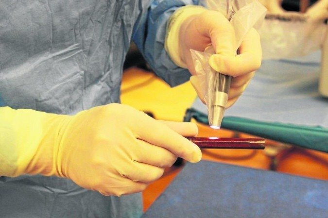  (crédito: Segura Laboratory and Bertha Laboratory/Divulgação)