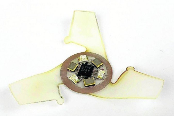  (crédito: Northwestern University/Divulgação)