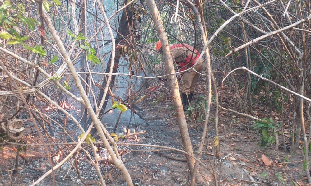 Chuva ajuda a apagar incêndios na Chapada dos Veadeiros