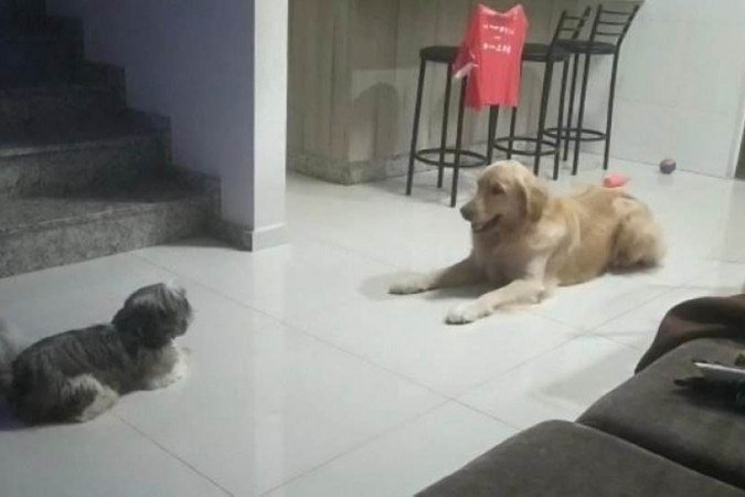  (crédito: Arquivo Pessoal)