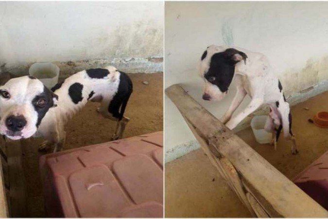  (crédito:  PMMA/Divulgação)