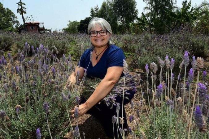 Depois de um ano sabático, Cilene Vieira passou a trabalhar com a produção de flores
- (crédito: ED ALVES/CB/D.A.Press) Depois de um ano sabático, Cilene Vieira passou a trabalhar com a produção de flores
- (crédito: ED ALVES/CB/D.A.Press)