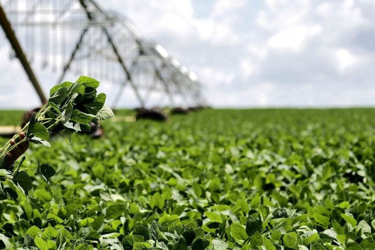 Brasil exporta tecnologia de irrigação para a Europa – Revista Rural