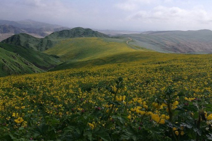 Cortesía María Miyasiro
 - 