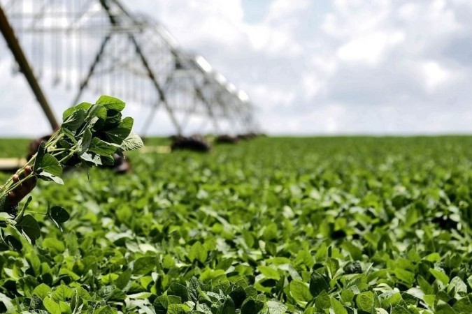 Casa da Lavoura: A Sua Loja Agro, Agora Online!