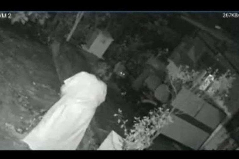 Leopardo ataca idosa, que se salva com bengala