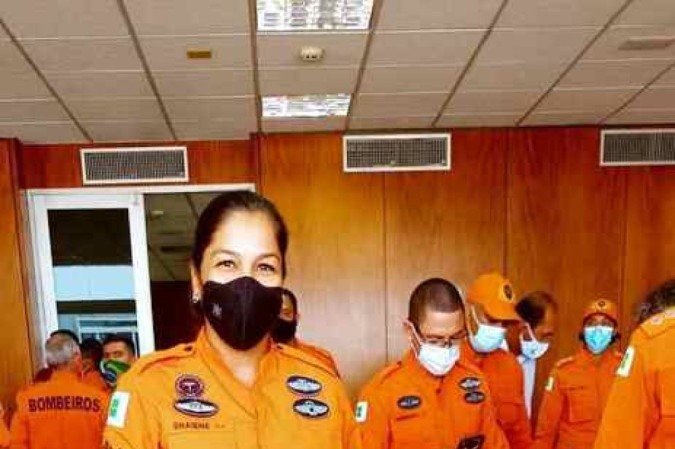 O labrador Apolo foi um dos animais que atuaram no resgate e localização de vítimas nos escombros
