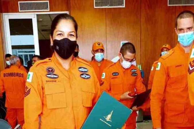 Labrador Apolo foi um dos animais que atuaram na localização das vítimas que estavam nos escombros. 
