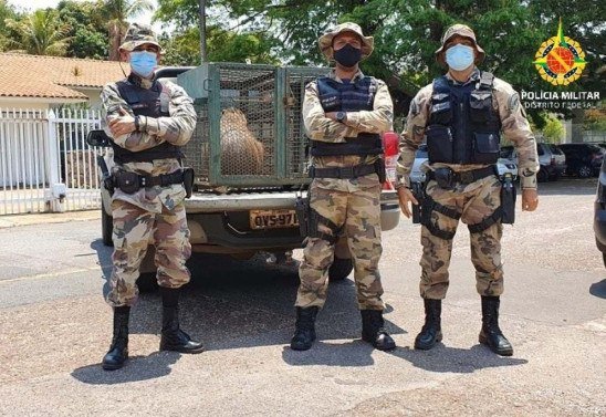 Divulgação - PMDF