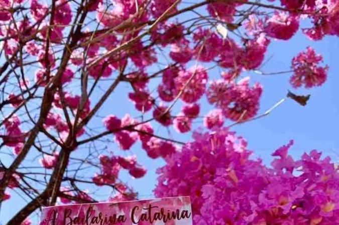  (crédito: Arquivo Pessoal)