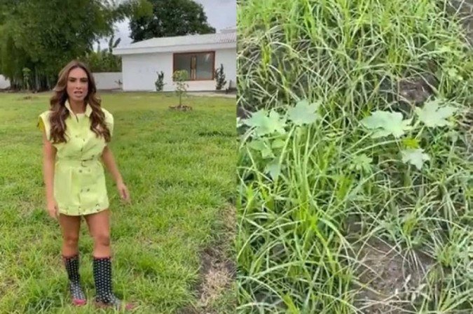 (crédito: Nicole Bahls/Instagram/Reprodução) (crédito: Nicole Bahls/Instagram/Reprodução)