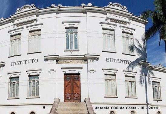 Antonio COR da Costa/Instituto Butantan