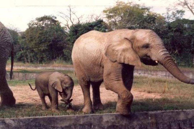  (crédito:  Arquivo EM/D.A Press - 13/06/1992)