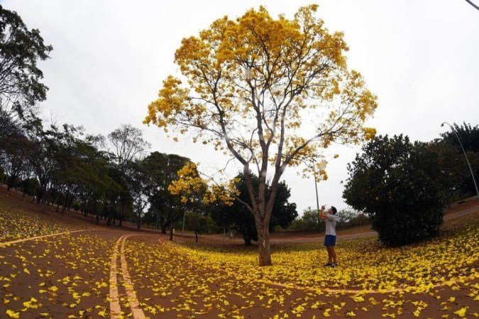  (crédito: Ed Alves/CB/D.A.Press)