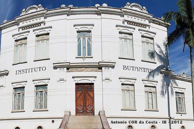  (crédito: Antonio COR da Costa/Instituto Butantan)