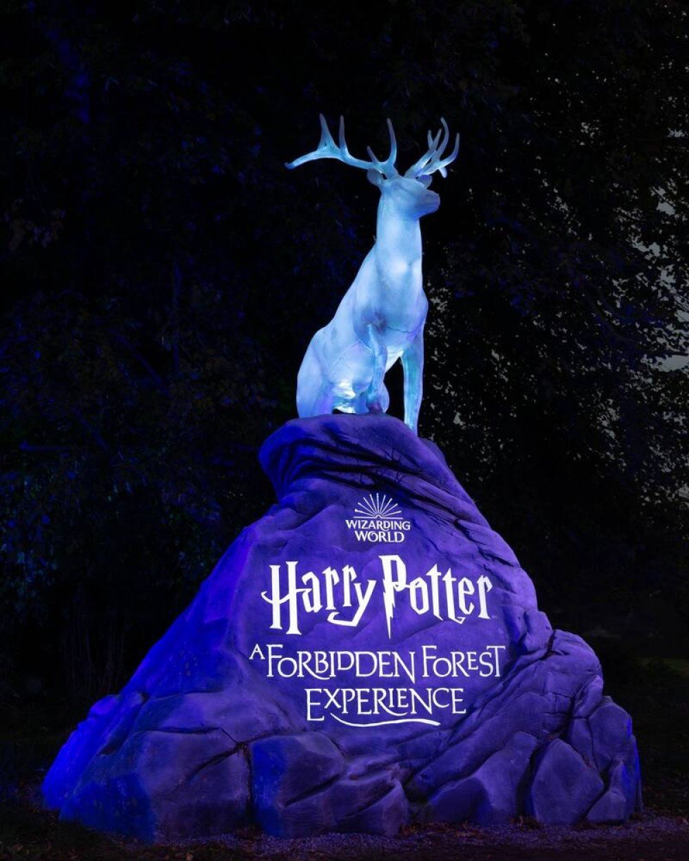 Harry Potter: Forbidden Forest Experience