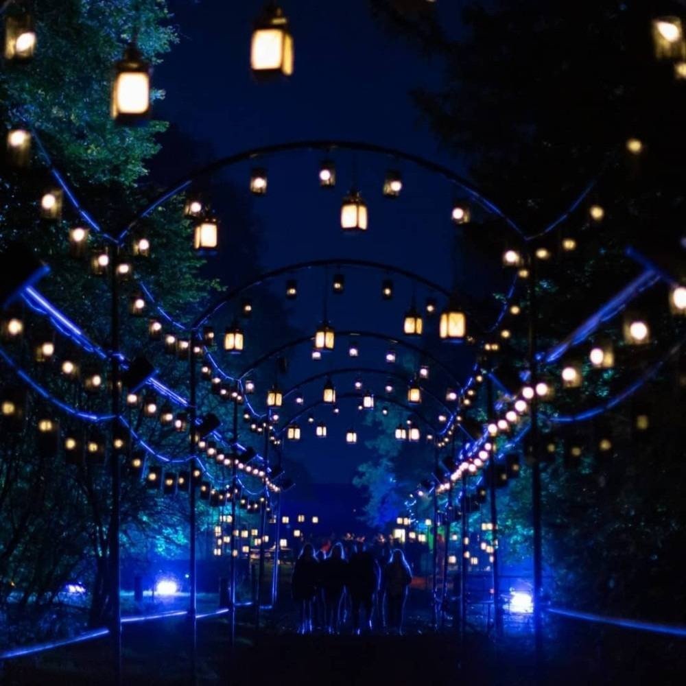 Harry Potter: Forbidden Forest Experience