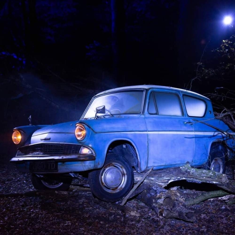 Harry Potter: Forbidden Forest Experience