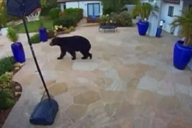  (crédito: Montecito Journal/YouTube/Reprodução)