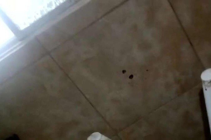 IImagem mostra marcas de tiros em uma das paredes da casa - (crédito: Reprodução da internet/WhatsApp) IImagem mostra marcas de tiros em uma das paredes da casa - (crédito: Reprodução da internet/WhatsApp)