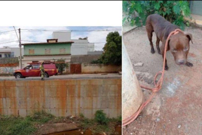  (crédito: CBMMG/Divulgação)