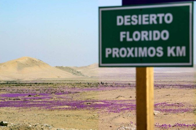  (crédito: MARTIN BERNETTI / AFP)