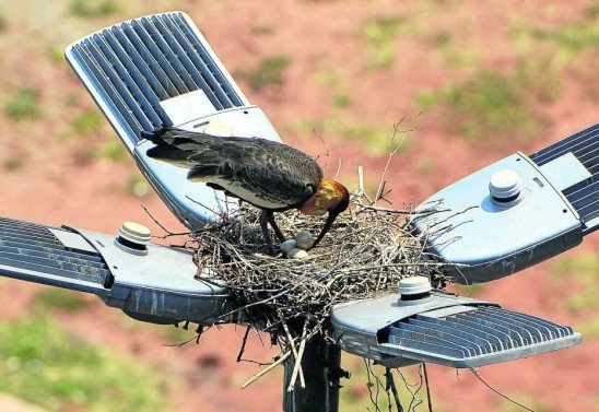 Marcelo Ferreira/CB/D.A Press