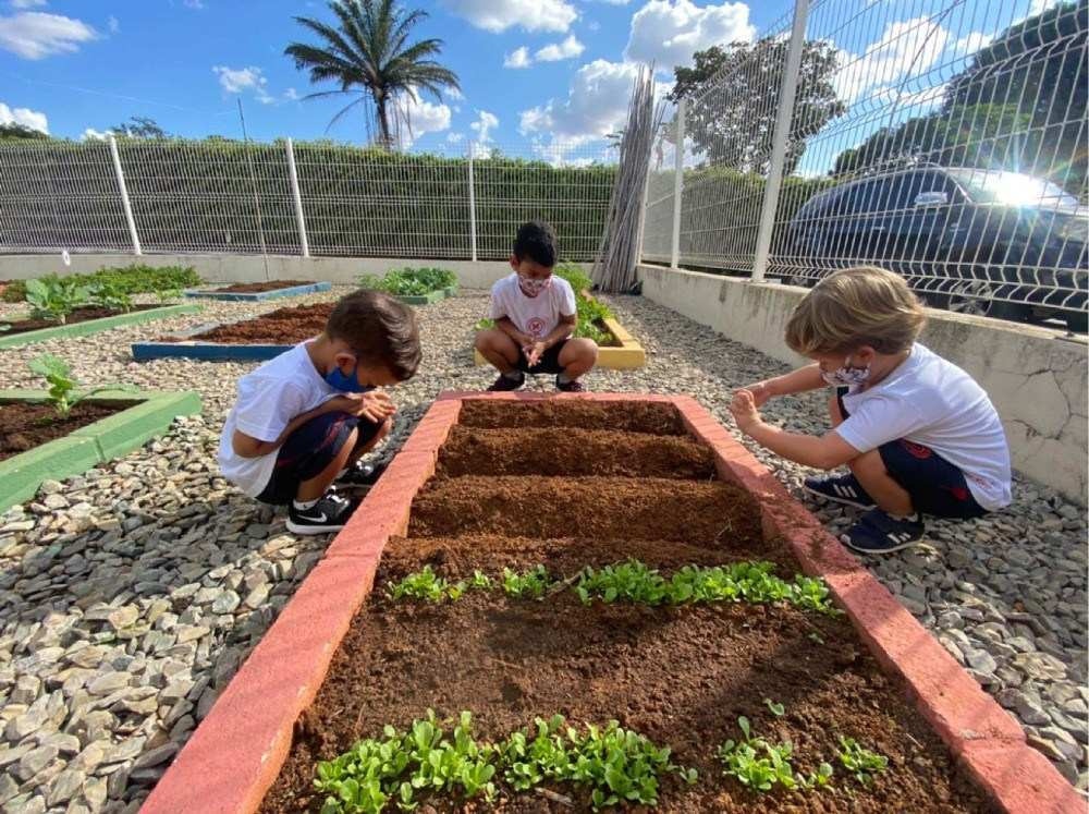 A importância do ensino primário infantil no desenvolvimento do ser humano