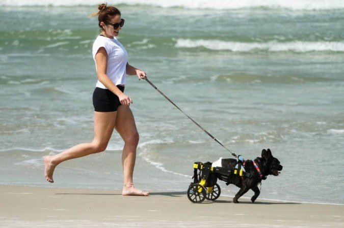  (crédito: Pineal 3D/Divulgacao)