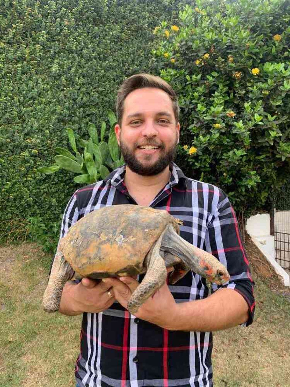 Jabuti Fred e o veterinario Matheus Krueger