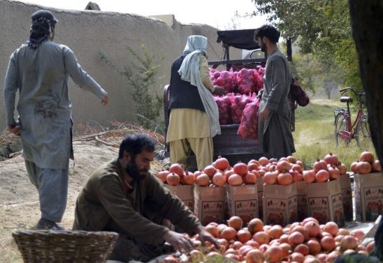 JAVED TANVEER / AFP