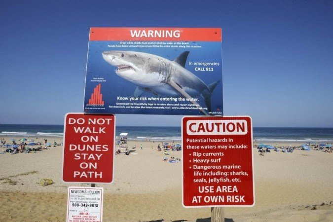  (crédito: Joseph Prezioso / AFP)