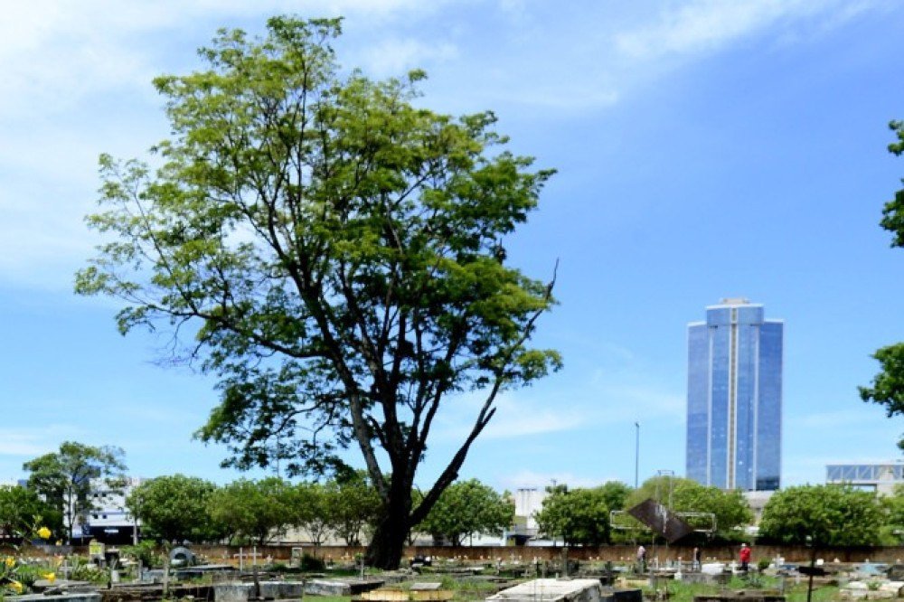 27/10/2021 Crédito: Marcelo Ferreira/CB/D.A Press. Brasil. Brasilia - DF Cemitério Campo da Esperança em Taguatinga, preparativos para o dia dos finados. Descaso e abandono.