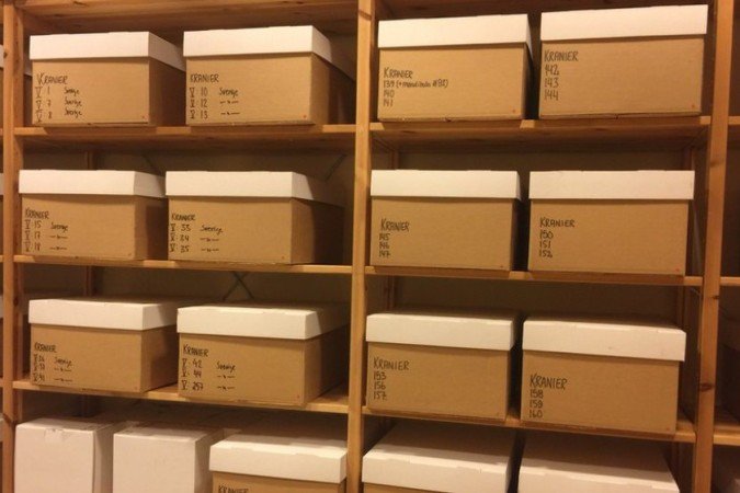  (crédito: Ann Gustavsson/Karolinska Institute)