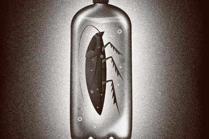  (crédito: Maurenilson Freire/CB/D.A Press)