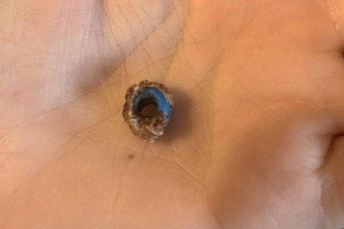  (crédito: Hannah Hamilton/ arquivo )