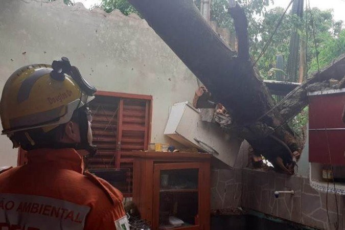  (crédito: CBMDF/Divulgação)